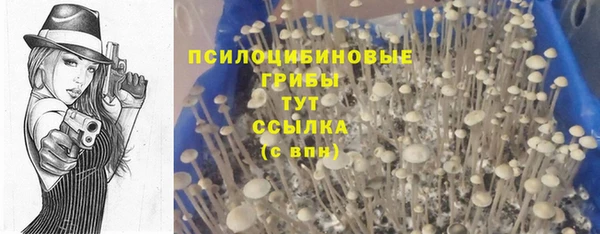 скорость mdpv Алексеевка