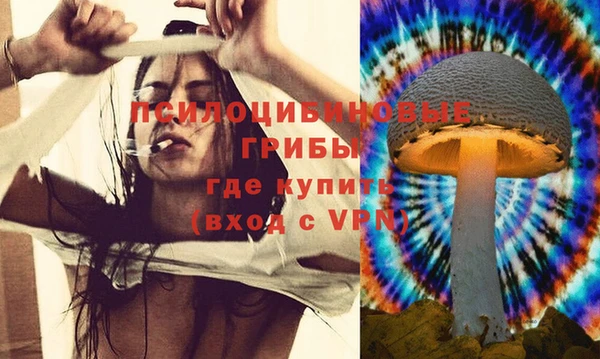 таблы Алексин